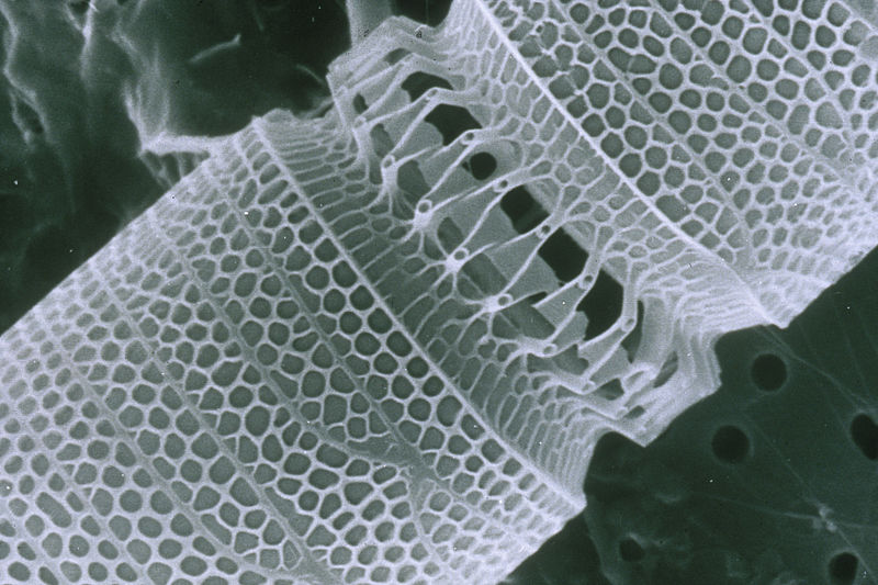 Nanoteknik och avancerade material